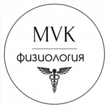 Физиология 🏃‍♂