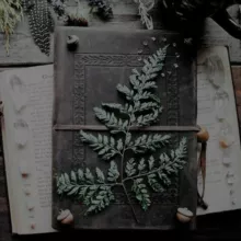 URweiblichkeit ~ Magie der Natur 🌿