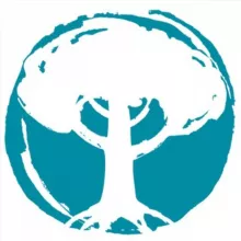 Институт «Метафора»