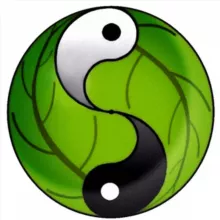 Menschen in Wandlung