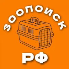 Зоопоиск РФ • потеряшки при перевозке