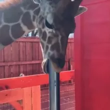 ❌Мировая философия❌