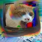 Неоднозначные / Multiqualis