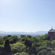 🌏生活 读书 新知™