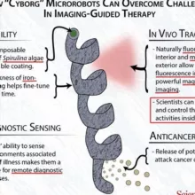 𝑴𝑶𝑹𝑮𝑬𝑳𝑳𝑶𝑵𝑺-𝑵𝑨𝑵𝑶𝑻𝑬𝑪𝑯𝑵𝑶𝑳𝑶𝑮𝑰𝑬 🐛🧐🛰📡💉