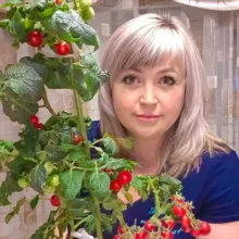 ОГОРОДНИЦА ВИКА