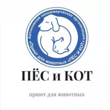 Приют Пес и Кот Южно-Сахалинск