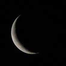 ʟᴀᴀᴍᴏʟʟɪ