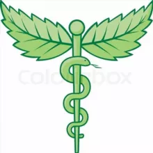 CANAL MEDICINA NATURISTA Y ALTERNATIVAS NATURALES