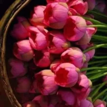 🇾 🇦 🇸 🇲 🇮 🇳 🕊