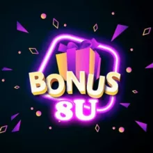 BIG BONUS WALLET 8U