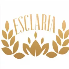 Esclaria Team