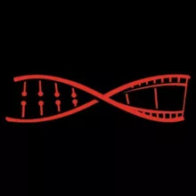 Лаборатория Научных Видео