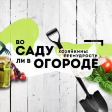 Канал Во саду ли в огороде