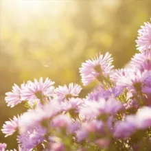 Conversations with Heaven on Earth