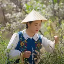 滇西小哥 Dianxi Xiaoge