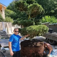 Озеленение под ключ Сочи Краснодарский Край💪🏻АВТОПОЛИВ 🏆Ландшафтный дизайн