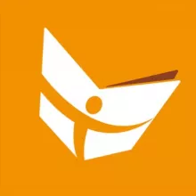 Diario Correo del Sur