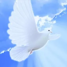 ДИЗАЙН С ДУШОЙ 🕊️