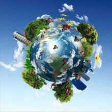 Удивительные факты