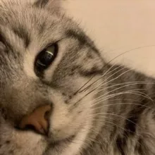 фееричный гороскоп