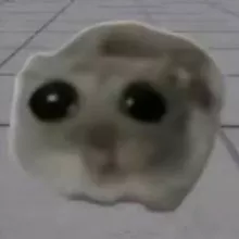 Sad Hamster (PORTAL)