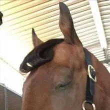 жюлі від 𝟝 до 𝟟 🪤