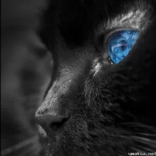 мудрые мысли на каждый день.