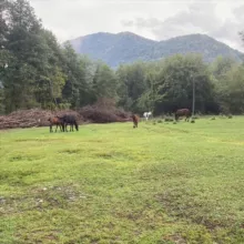 Фото для пранка💌