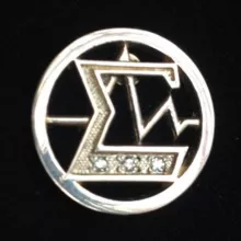 Советник СО РАН