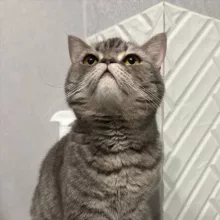 Писина Хозяйка/Та самая Даша