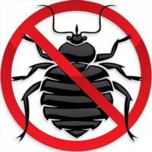 Дезинфекция | Дизенфекция