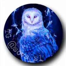 SOVA® | СЕТЬ КАНАЛОВ