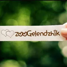 • ЗООГЕЛЕНДЖИК • Приют • Геленджик • Волонтеры