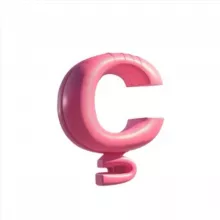 ÇAVA PRIVATE CHANEL