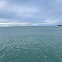 Философский пароход - главный чат