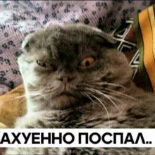 Укуренные козлы