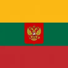 Литва головного мозга