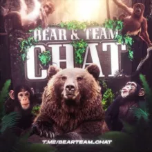 Bear Team Chat 🐻