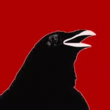 CafeRevolution , Johnee H -truth matters