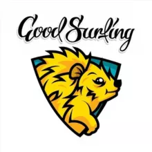 Goodsurfing.Job - выездная сезонная работа