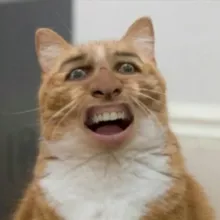 Panovamr Марина👋🏻