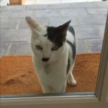 𝐑࿕𝐰 𝐌𝐢𝐥𝐤 𝐑࿕𝐜𝐢𝐬𝐦