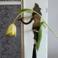 Чувствуешь, дом?