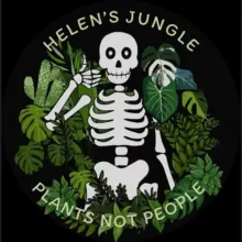 🪴 Helen's Jungle 🪴