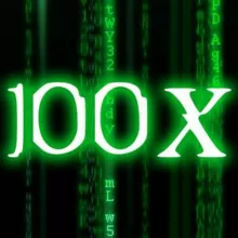 projekt100x.de