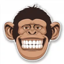 Скинь видео