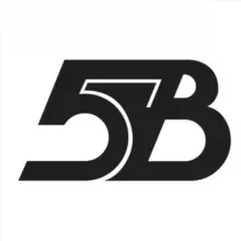 ПЯТАЯ ВЛАСТЬ