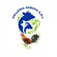 Galleria Agrova.SRL