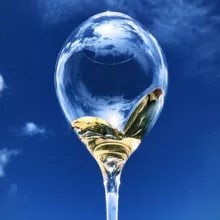 Вино от Терновской